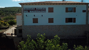 Bodegas Borraz