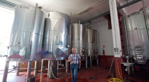 Bodegas Borraz