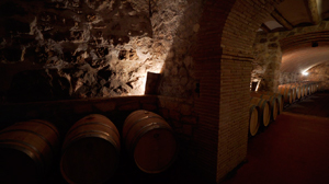 Bodegas Borraz