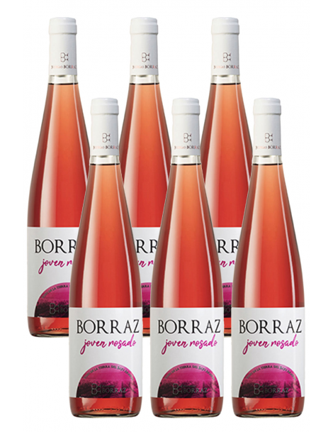 6 Botellas Vino Rosado Las Planas Joven